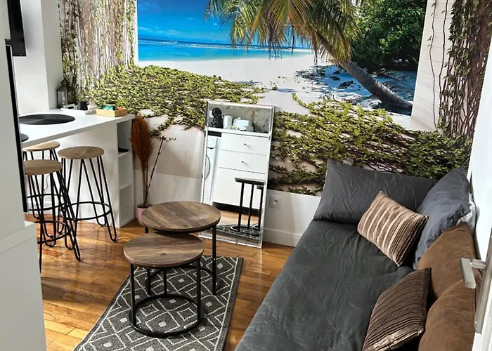Appartement Proche De Paris Cosy Et Lumineux